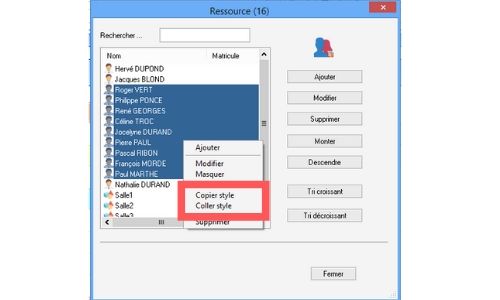 Copier / coller le style (couleur du texte et de larrire-plan) pour plusieurs ressources, clients et projets